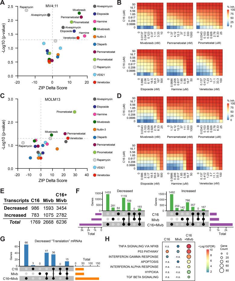 https://cdn.ncbi.nlm.nih.gov/pmc/blobs/0b60/11057873/3b653e6aee96/elife-90683-fig5.jpg