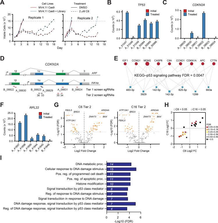 https://cdn.ncbi.nlm.nih.gov/pmc/blobs/0b60/11057873/50f0f7eb08ce/elife-90683-fig4-figsupp1.jpg