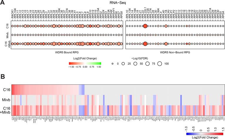 https://cdn.ncbi.nlm.nih.gov/pmc/blobs/0b60/11057873/875a3c0444f7/elife-90683-fig5-figsupp3.jpg