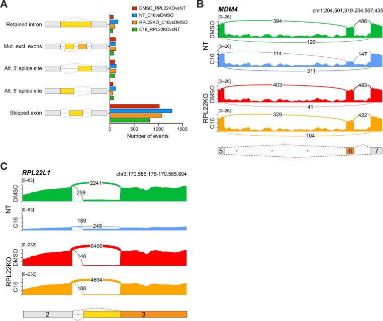 https://cdn.ncbi.nlm.nih.gov/pmc/blobs/0b60/11057873/984d68958dc7/elife-90683-fig6-figsupp3.jpg