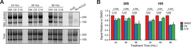 https://cdn.ncbi.nlm.nih.gov/pmc/blobs/0b60/11057873/f8e57bd64d6d/elife-90683-fig3-figsupp3.jpg