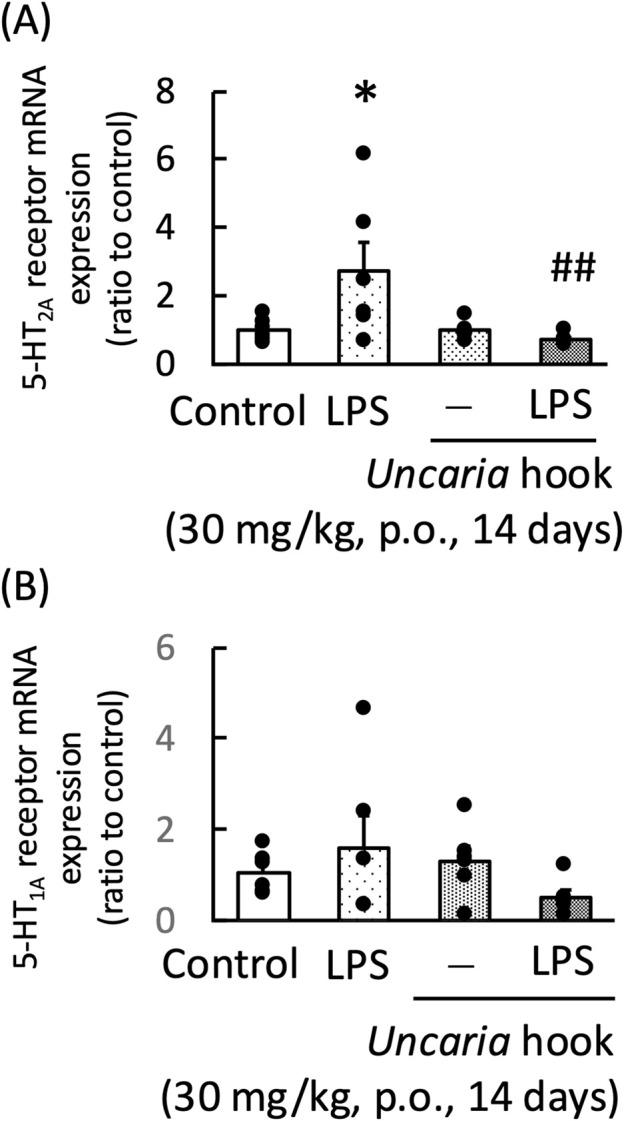 https://cdn.ncbi.nlm.nih.gov/pmc/blobs/0b63/11408319/e880839e930b/fphar-15-1471602-g009.jpg