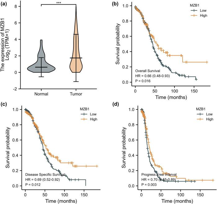 https://cdn.ncbi.nlm.nih.gov/pmc/blobs/0b63/12086629/8039f86bf1af/j_med-2025-1174-fig001.jpg