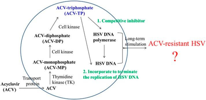 https://cdn.ncbi.nlm.nih.gov/pmc/blobs/0b64/4822185/8ca82ac6892b/ijos20163f1.jpg