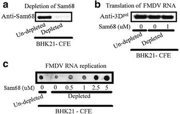 https://cdn.ncbi.nlm.nih.gov/pmc/blobs/0b65/4689063/8f333e7629d7/12985_2015_452_Fig4_HTML.jpg
