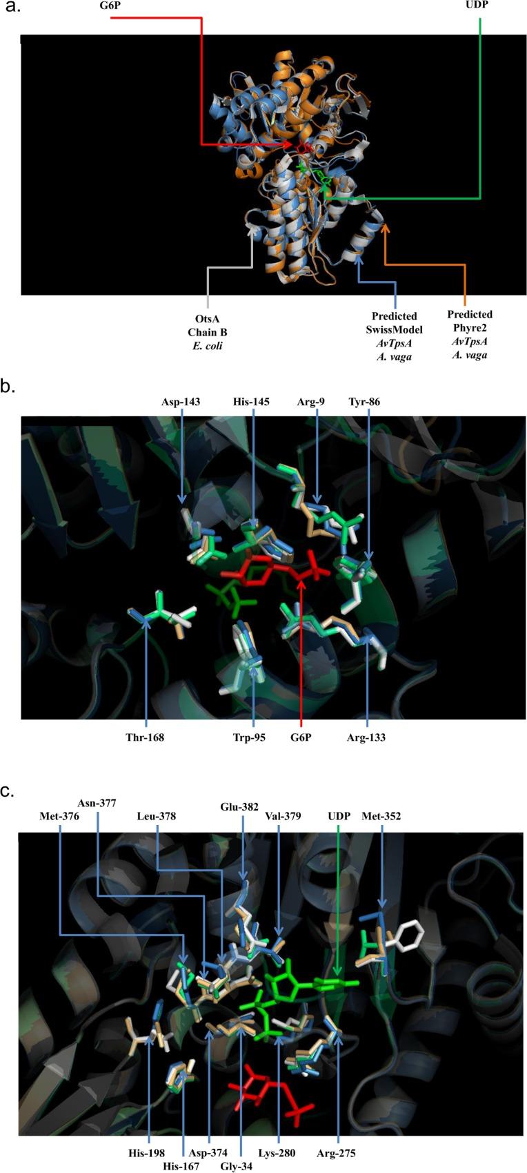 https://cdn.ncbi.nlm.nih.gov/pmc/blobs/0b66/4498783/d8239dfe2cc5/pone.0131313.g002.jpg