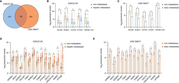 https://cdn.ncbi.nlm.nih.gov/pmc/blobs/0b66/9043551/ee965073e549/fonc-12-802941-g001.jpg