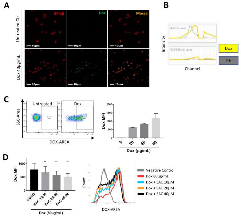 https://cdn.ncbi.nlm.nih.gov/pmc/blobs/0b67/9788583/61ba4b74127d/pharmaceuticals-15-01444-g004.jpg
