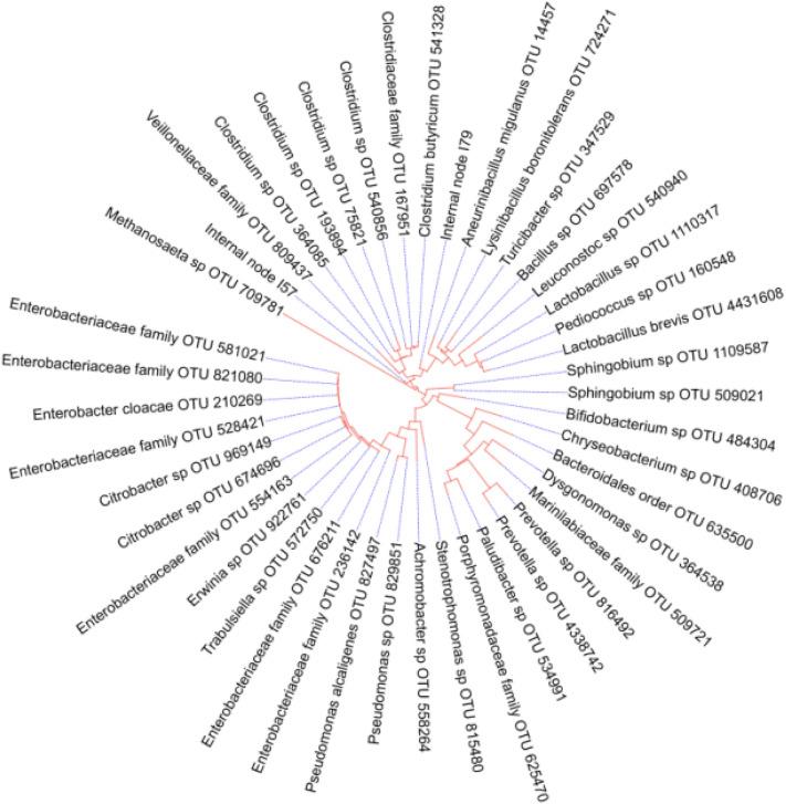 https://cdn.ncbi.nlm.nih.gov/pmc/blobs/0b69/9871009/09c219e37344/41598_2023_27795_Fig7_HTML.jpg