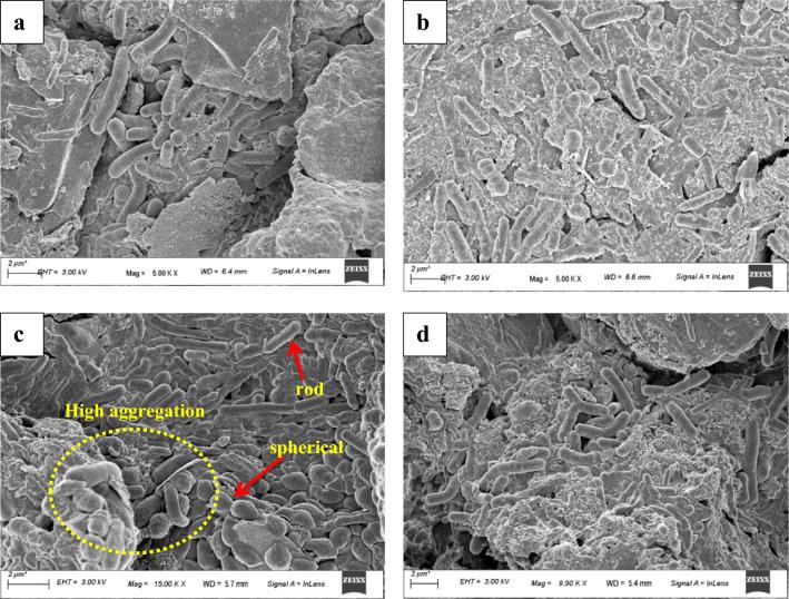 https://cdn.ncbi.nlm.nih.gov/pmc/blobs/0b69/9871009/2da5bb32a2ea/41598_2023_27795_Fig3_HTML.jpg