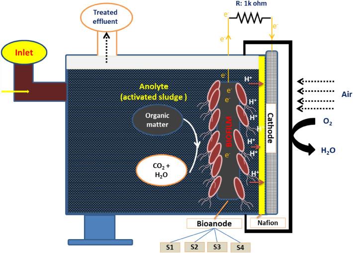 https://cdn.ncbi.nlm.nih.gov/pmc/blobs/0b69/9871009/76920a0c815c/41598_2023_27795_Fig1_HTML.jpg