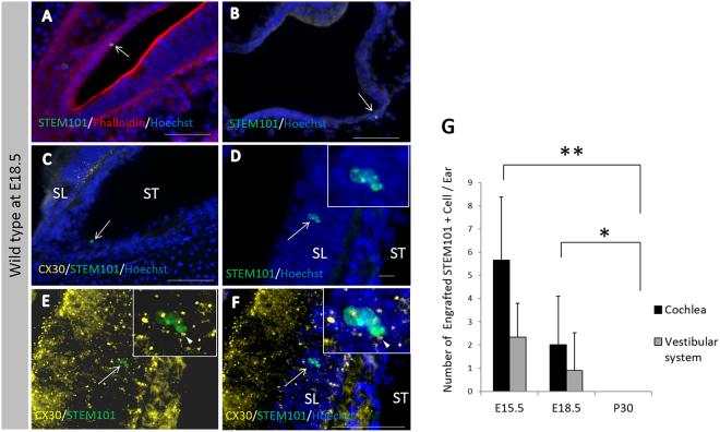 https://cdn.ncbi.nlm.nih.gov/pmc/blobs/0b6c/5792596/2f673b8383db/41598_2018_20277_Fig4_HTML.jpg