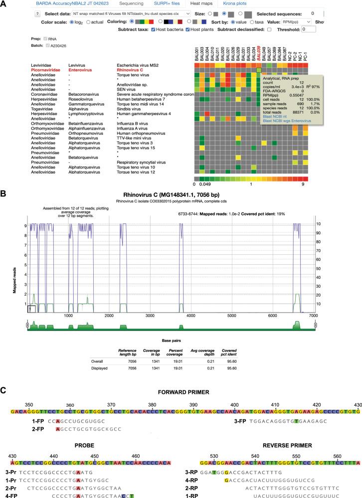 https://cdn.ncbi.nlm.nih.gov/pmc/blobs/0b6e/11558004/1ce7e25f7416/41467_2024_51470_Fig7_HTML.jpg