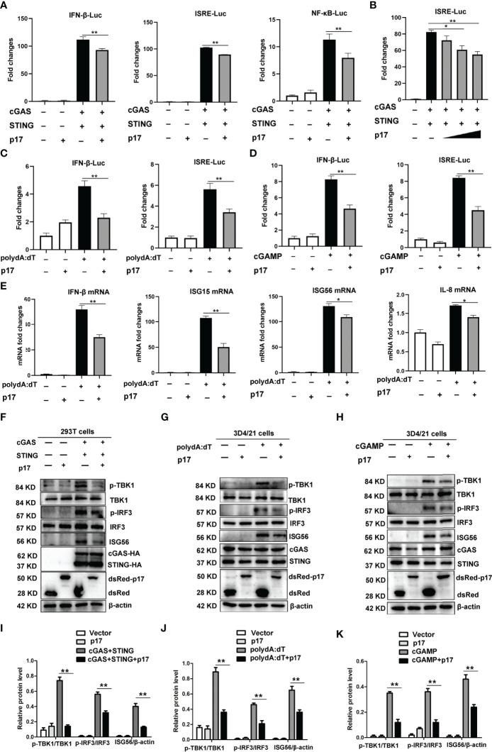 https://cdn.ncbi.nlm.nih.gov/pmc/blobs/0b6e/9283692/1b1dfae53715/fimmu-13-941579-g001.jpg