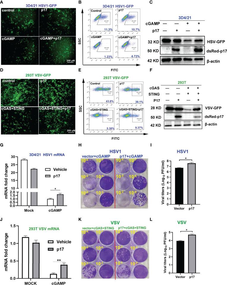 https://cdn.ncbi.nlm.nih.gov/pmc/blobs/0b6e/9283692/e66b833e1c22/fimmu-13-941579-g003.jpg