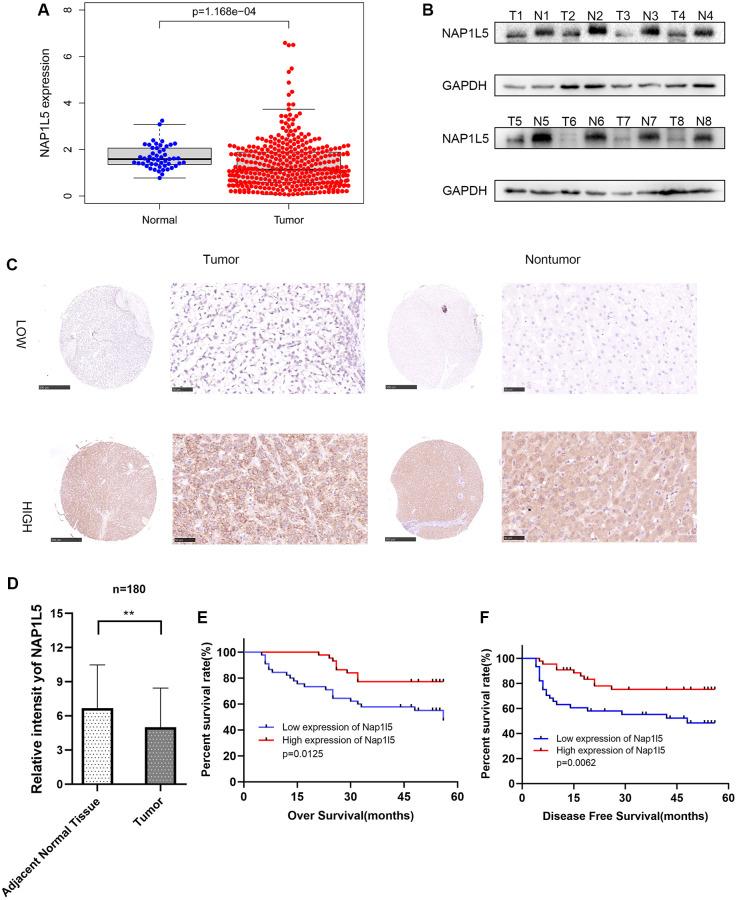 https://cdn.ncbi.nlm.nih.gov/pmc/blobs/0b6e/9740361/88dfe263dcba/aging-14-204377-g001.jpg