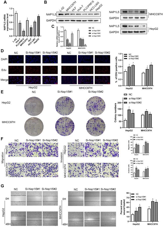 https://cdn.ncbi.nlm.nih.gov/pmc/blobs/0b6e/9740361/a9a3a3b8d67b/aging-14-204377-g002.jpg