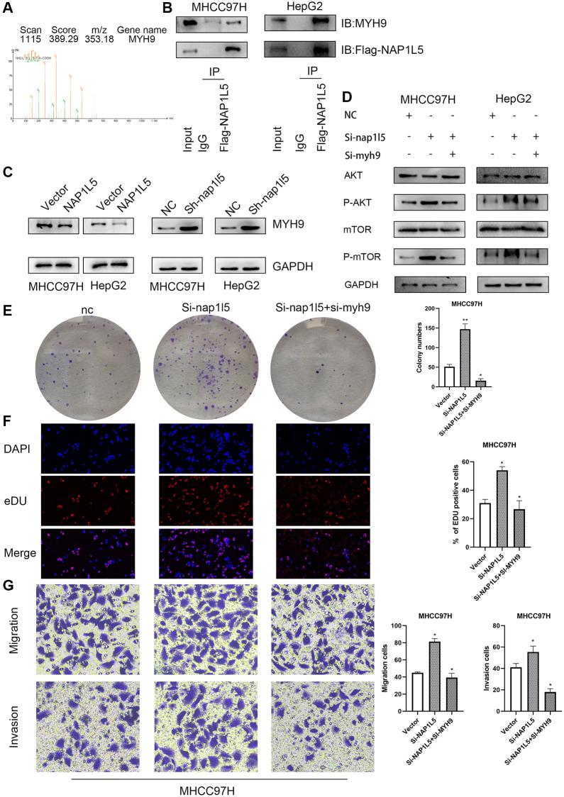https://cdn.ncbi.nlm.nih.gov/pmc/blobs/0b6e/9740361/bb530281ee1b/aging-14-204377-g008.jpg