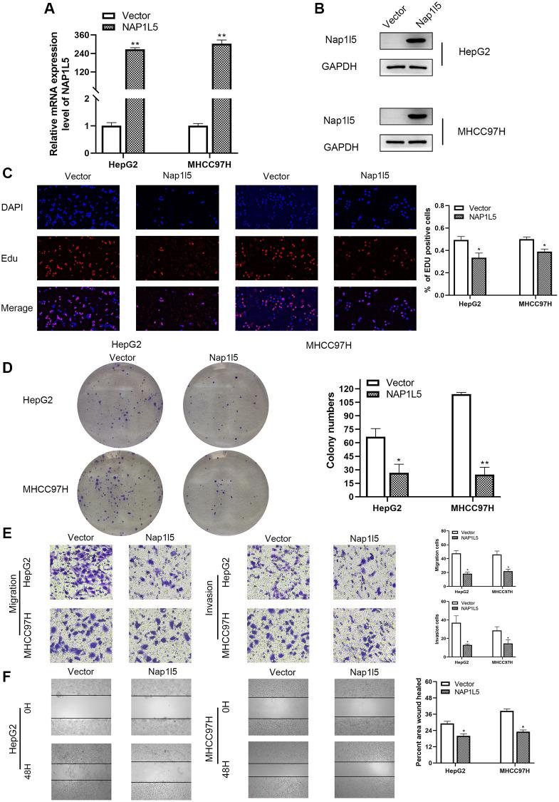 https://cdn.ncbi.nlm.nih.gov/pmc/blobs/0b6e/9740361/cdc36d007ab2/aging-14-204377-g003.jpg