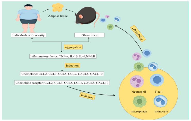 https://cdn.ncbi.nlm.nih.gov/pmc/blobs/0b6f/11430256/cd3c14730587/biomolecules-14-01121-g001.jpg