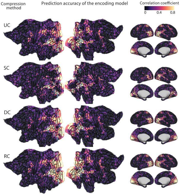 https://cdn.ncbi.nlm.nih.gov/pmc/blobs/0b70/11867343/46411284c5d7/pcbi.1012822.g002.jpg
