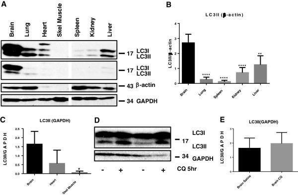 https://cdn.ncbi.nlm.nih.gov/pmc/blobs/0b73/4079187/ab7ddea3274d/2040-7378-6-8-1.jpg