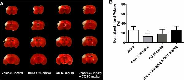 https://cdn.ncbi.nlm.nih.gov/pmc/blobs/0b73/4079187/e450b4b3ca0d/2040-7378-6-8-2.jpg
