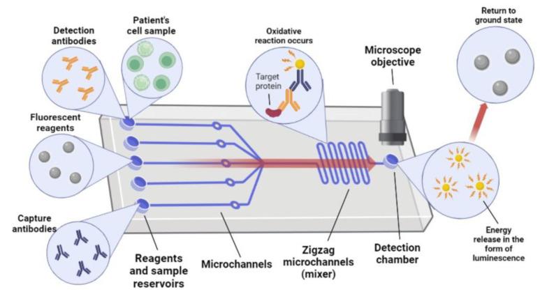 https://cdn.ncbi.nlm.nih.gov/pmc/blobs/0b74/10136345/3caec1daf6ec/biosensors-13-00439-g003.jpg