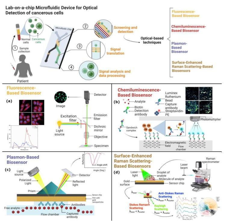 https://cdn.ncbi.nlm.nih.gov/pmc/blobs/0b74/10136345/7c14ae688944/biosensors-13-00439-g001.jpg