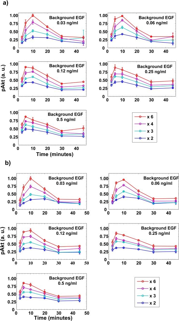 https://cdn.ncbi.nlm.nih.gov/pmc/blobs/0b74/7046471/853ba91c58b0/elife-50342-fig3-figsupp1.jpg