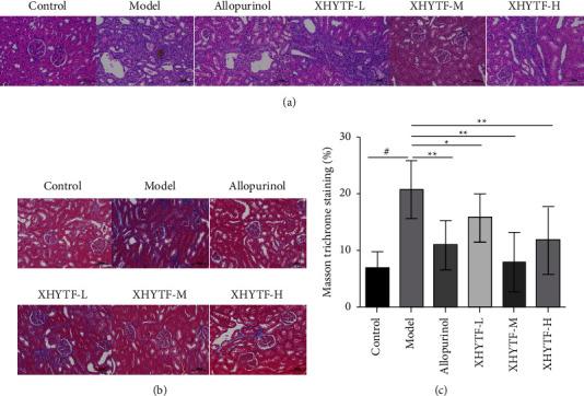 https://cdn.ncbi.nlm.nih.gov/pmc/blobs/0b75/9974263/71cae43012b1/ECAM2023-6931644.007.jpg