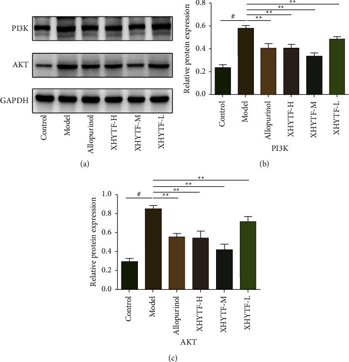 https://cdn.ncbi.nlm.nih.gov/pmc/blobs/0b75/9974263/e8604fd051aa/ECAM2023-6931644.008.jpg