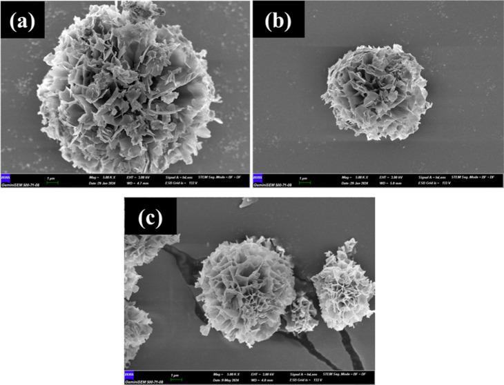 https://cdn.ncbi.nlm.nih.gov/pmc/blobs/0b76/12368634/250ba4256153/ao5c01679_0009.jpg