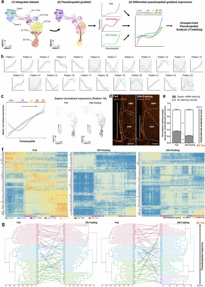 https://cdn.ncbi.nlm.nih.gov/pmc/blobs/0b77/11298547/dc5c3b883767/41467_2024_50913_Fig5_HTML.jpg