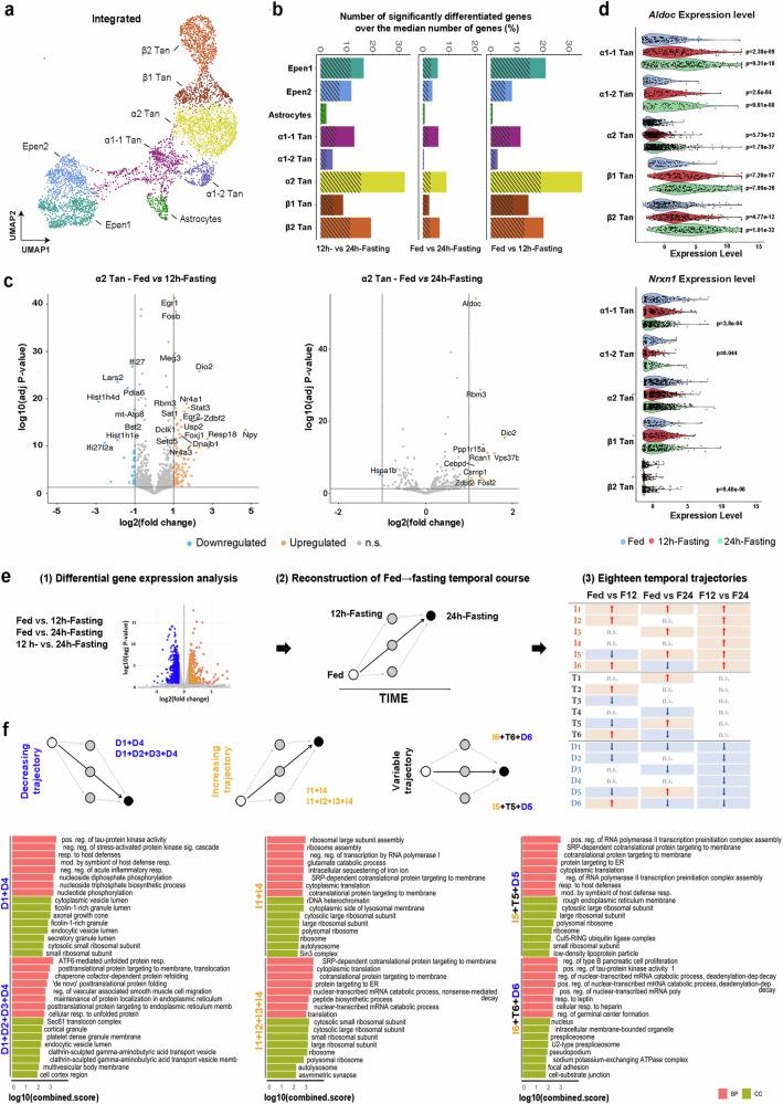 https://cdn.ncbi.nlm.nih.gov/pmc/blobs/0b77/11298547/e142f69755eb/41467_2024_50913_Fig4_HTML.jpg