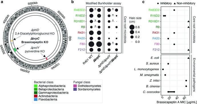 https://cdn.ncbi.nlm.nih.gov/pmc/blobs/0b7a/11133316/af3995f5d9ad/41467_2024_48517_Fig6_HTML.jpg