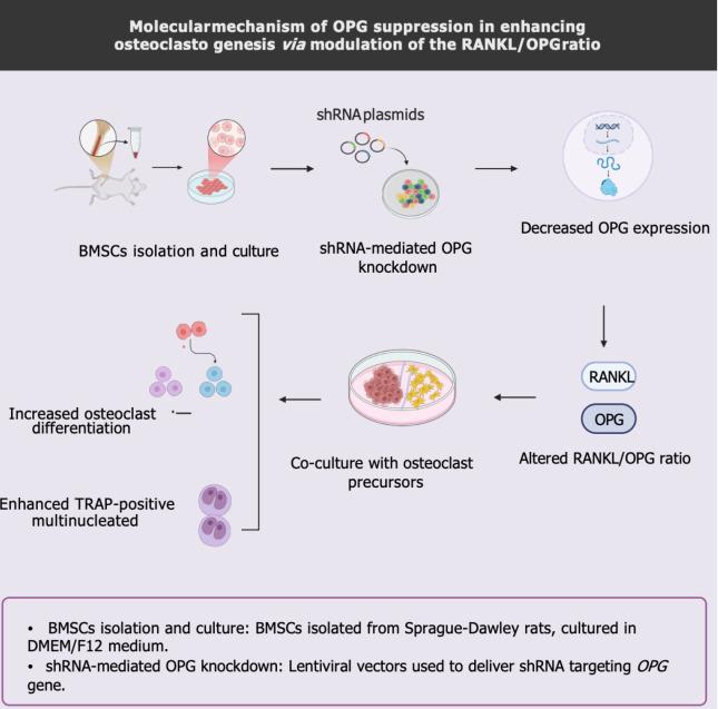 https://cdn.ncbi.nlm.nih.gov/pmc/blobs/0b7b/12038464/62723269a1bf/101290-g008.jpg