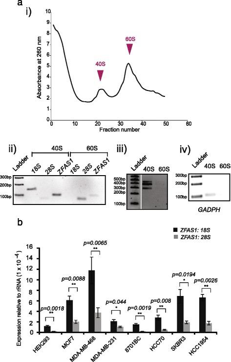 https://cdn.ncbi.nlm.nih.gov/pmc/blobs/0b7b/5117590/35d98803a17e/13062_2016_165_Fig4_HTML.jpg