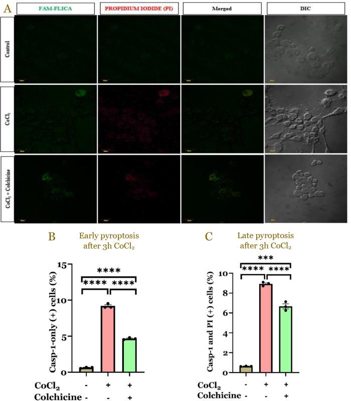 https://cdn.ncbi.nlm.nih.gov/pmc/blobs/0b80/12425549/4f921b8f8211/NarraJ-5-e2245-g007.jpg