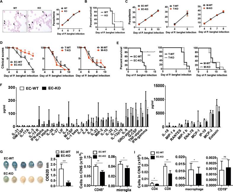 https://cdn.ncbi.nlm.nih.gov/pmc/blobs/0b80/8484550/2def416feebe/41423_2020_582_Fig3_HTML.jpg