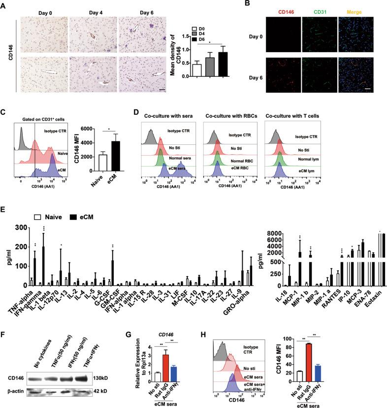 https://cdn.ncbi.nlm.nih.gov/pmc/blobs/0b80/8484550/6c7e08feb6a3/41423_2020_582_Fig1_HTML.jpg