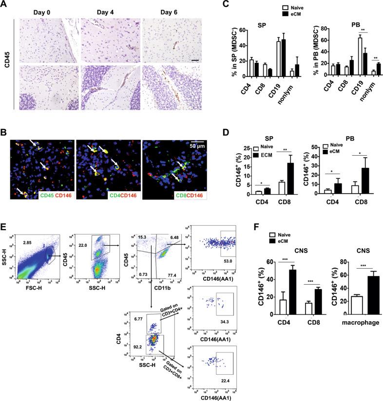 https://cdn.ncbi.nlm.nih.gov/pmc/blobs/0b80/8484550/da0b7c442a4a/41423_2020_582_Fig2_HTML.jpg