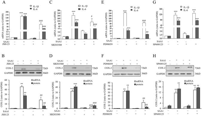 https://cdn.ncbi.nlm.nih.gov/pmc/blobs/0b83/5429602/b8387017e8ec/41598_2017_782_Fig5_HTML.jpg