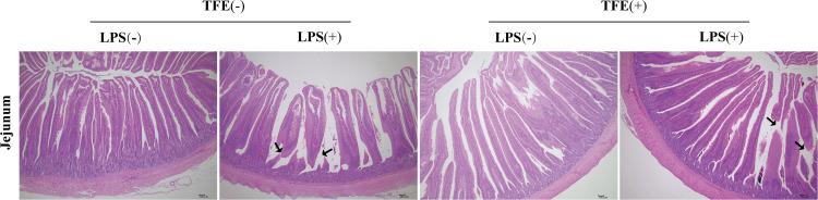 https://cdn.ncbi.nlm.nih.gov/pmc/blobs/0b86/11904579/1a99fad97697/gr1.jpg