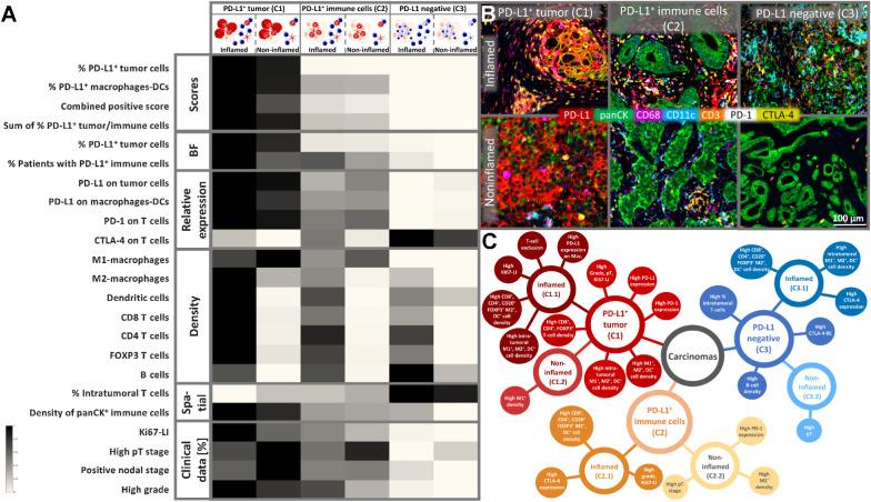 https://cdn.ncbi.nlm.nih.gov/pmc/blobs/0b88/10233353/0ad89be7006a/605fig2.jpg