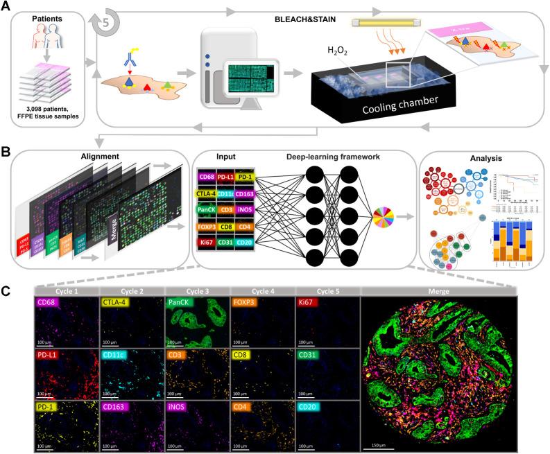 https://cdn.ncbi.nlm.nih.gov/pmc/blobs/0b88/10233353/1113af05cbeb/605fig1.jpg