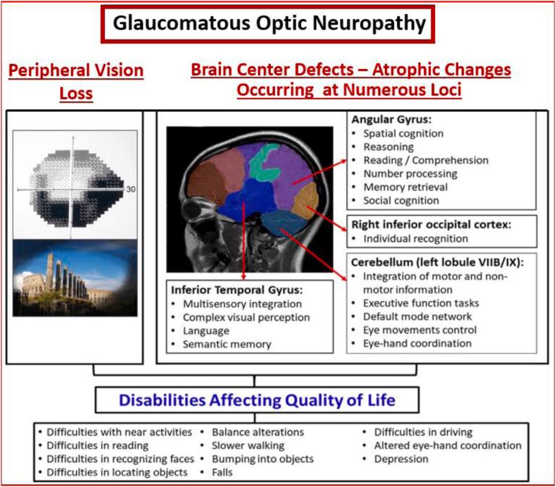 https://cdn.ncbi.nlm.nih.gov/pmc/blobs/0b88/9846481/9a2af4491bf9/gr6.jpg