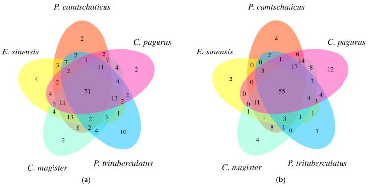 https://cdn.ncbi.nlm.nih.gov/pmc/blobs/0b8a/10179896/0d9418775fc9/molecules-28-03653-g002.jpg