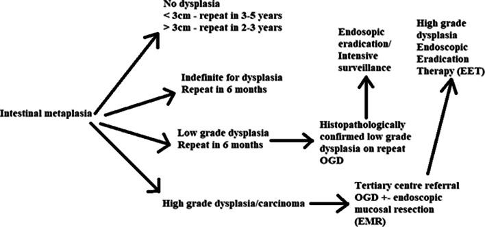 https://cdn.ncbi.nlm.nih.gov/pmc/blobs/0b8a/7519897/6157972a06eb/12328_2020_1135_Fig7_HTML.jpg