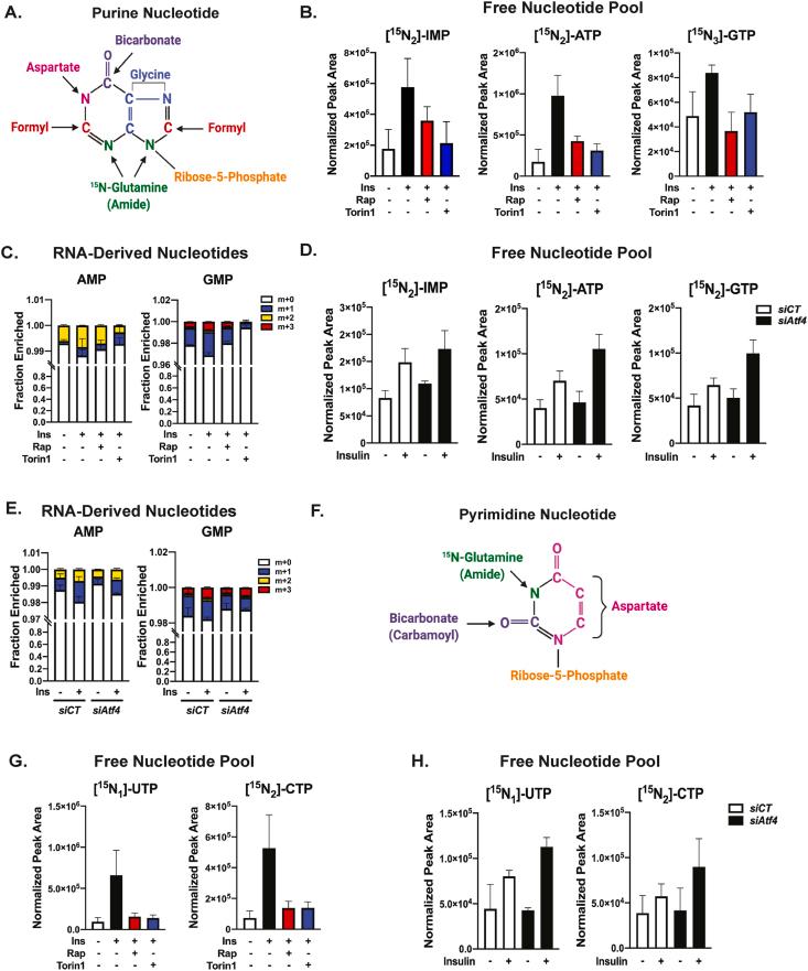 https://cdn.ncbi.nlm.nih.gov/pmc/blobs/0b8a/8368025/19adf03a64a7/gr3.jpg